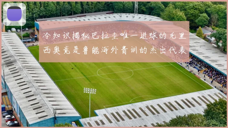 冷知识揭秘巴拉圭唯一进球的毛里西奥竟是鲁能海外青训的杰出代表