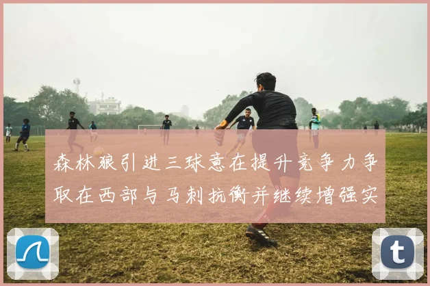 森林狼引进三球意在提升竞争力争取在西部与马刺抗衡并继续增强实力